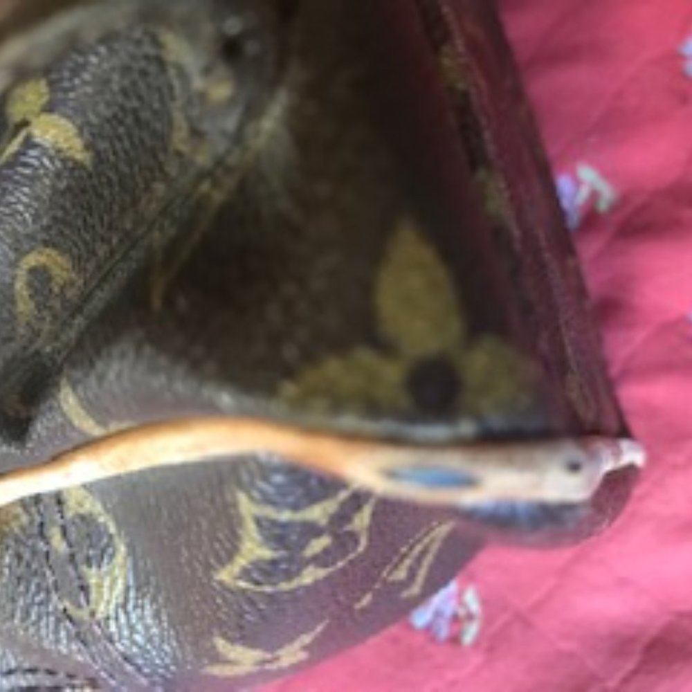 Louis Vuitton Handbag. - Picture 7 of 8